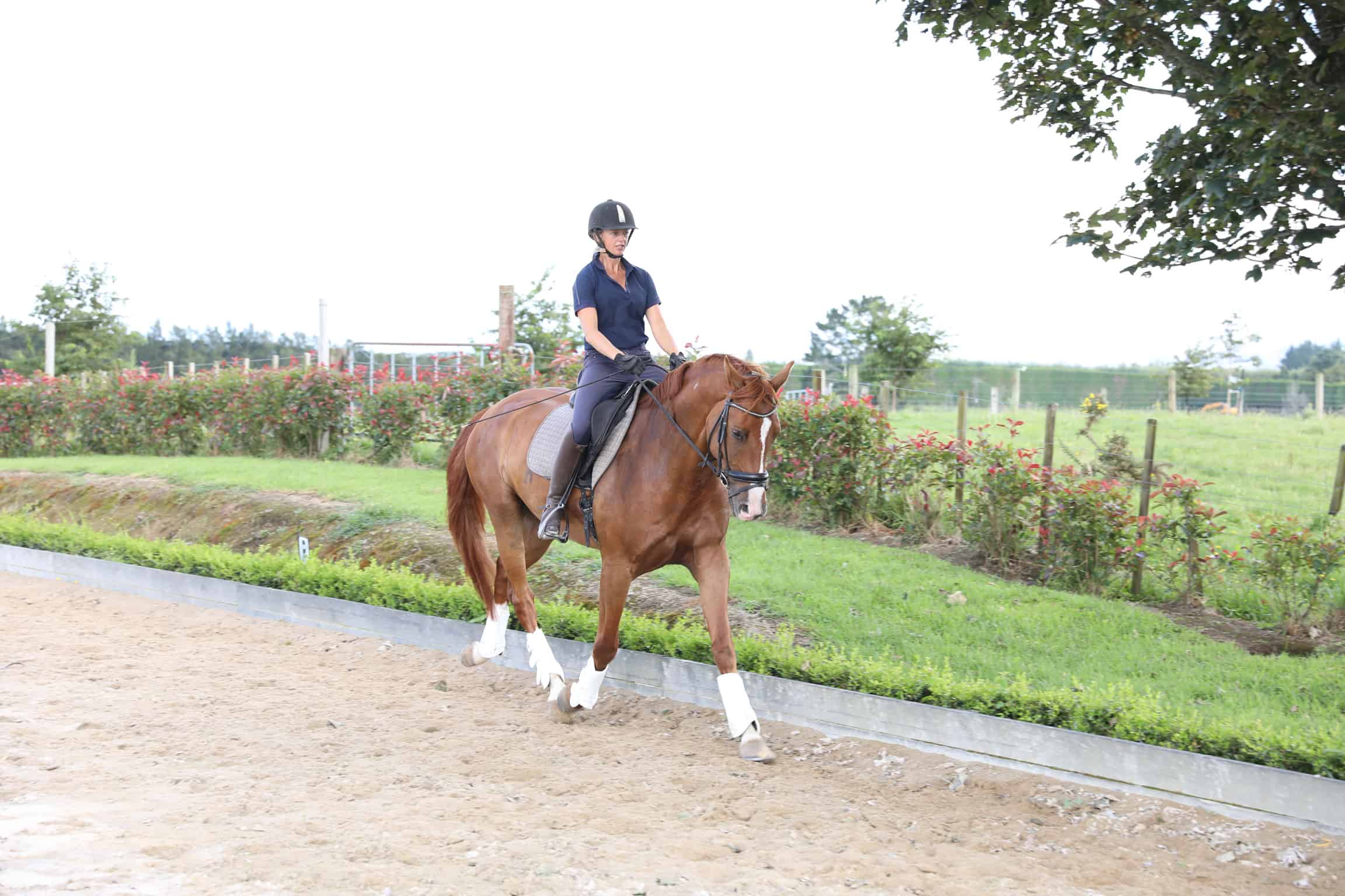 What is Rider Biomechanics?