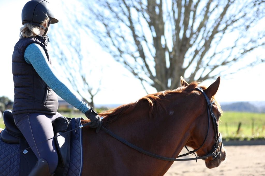 Breathe And Your Dressage Posture