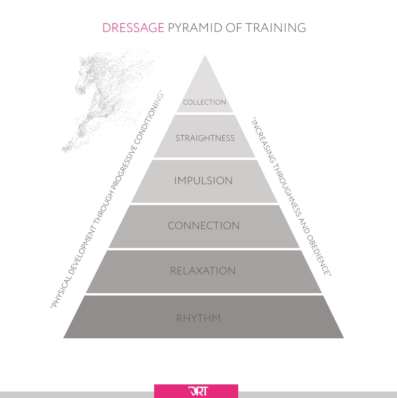 Dressage Pyramid of Training