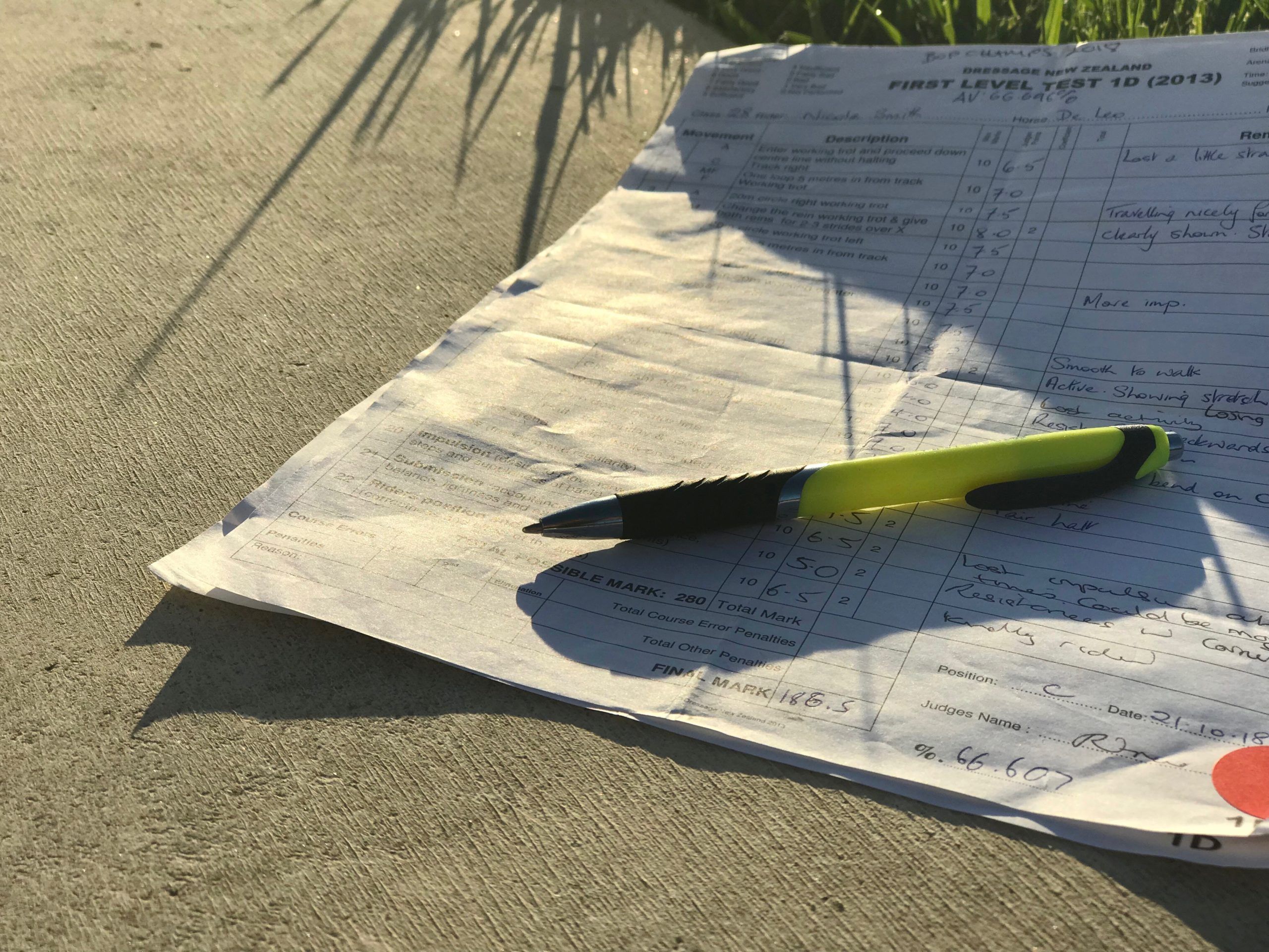 Ultimate Guide To Being A Writer For Dressage