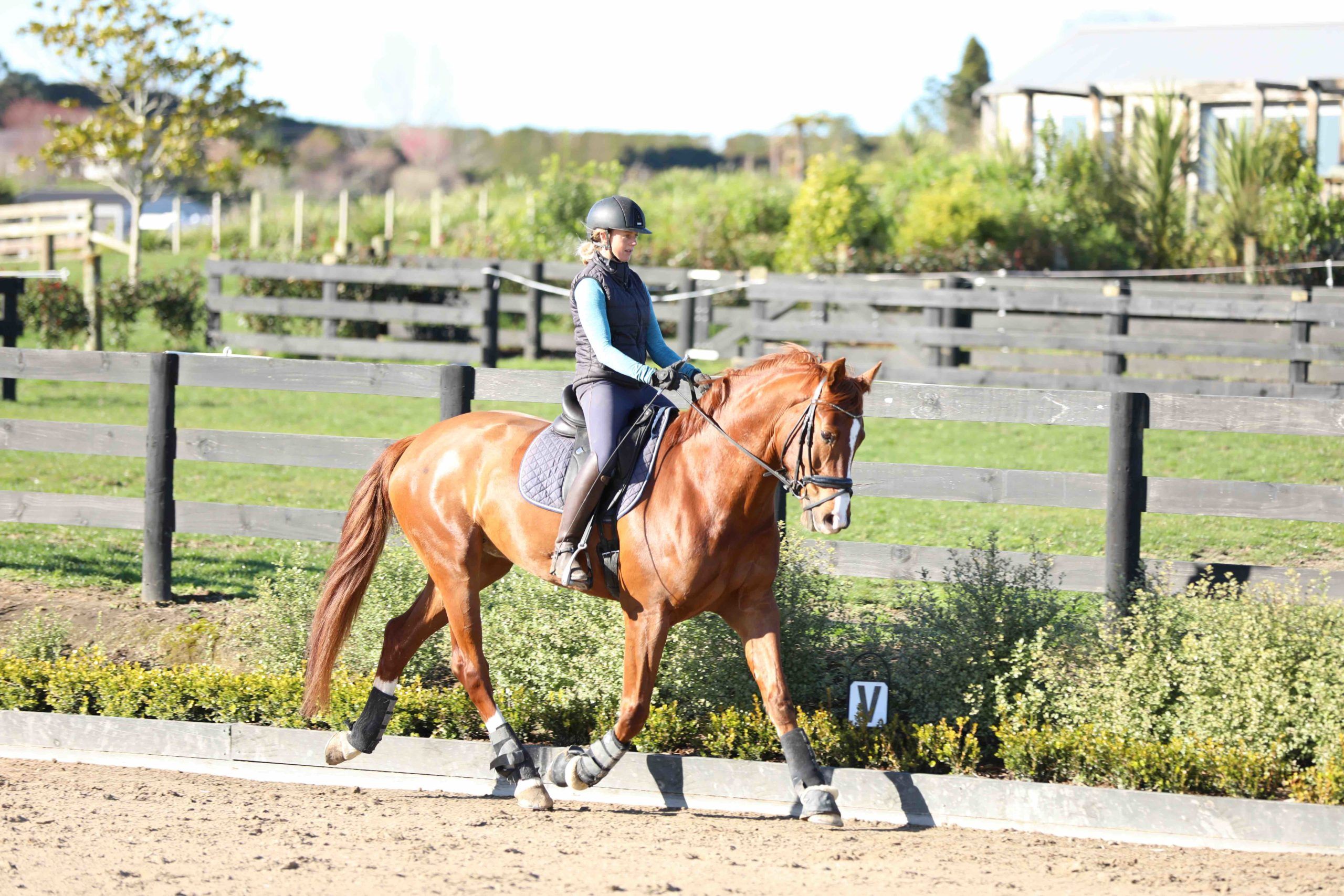 Is Strength Training Beneficial For My Riding Fitness?