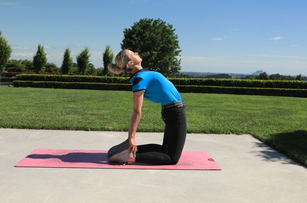 Dressage rider stretches