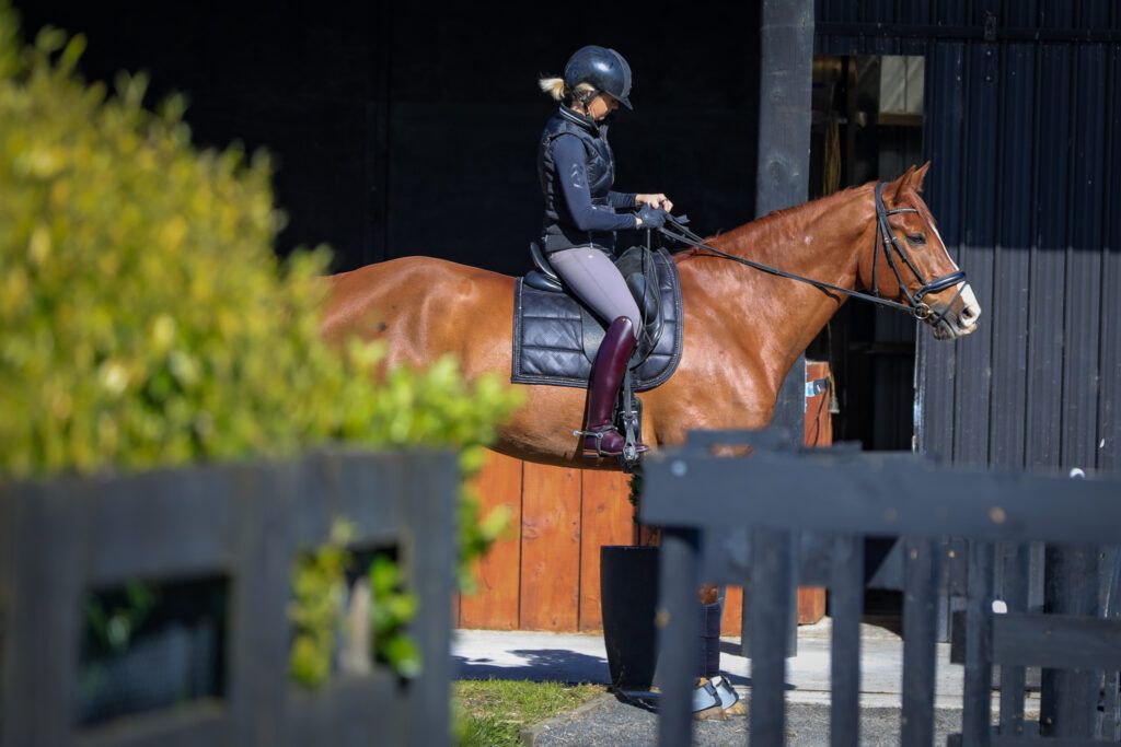 strength training for equestrians