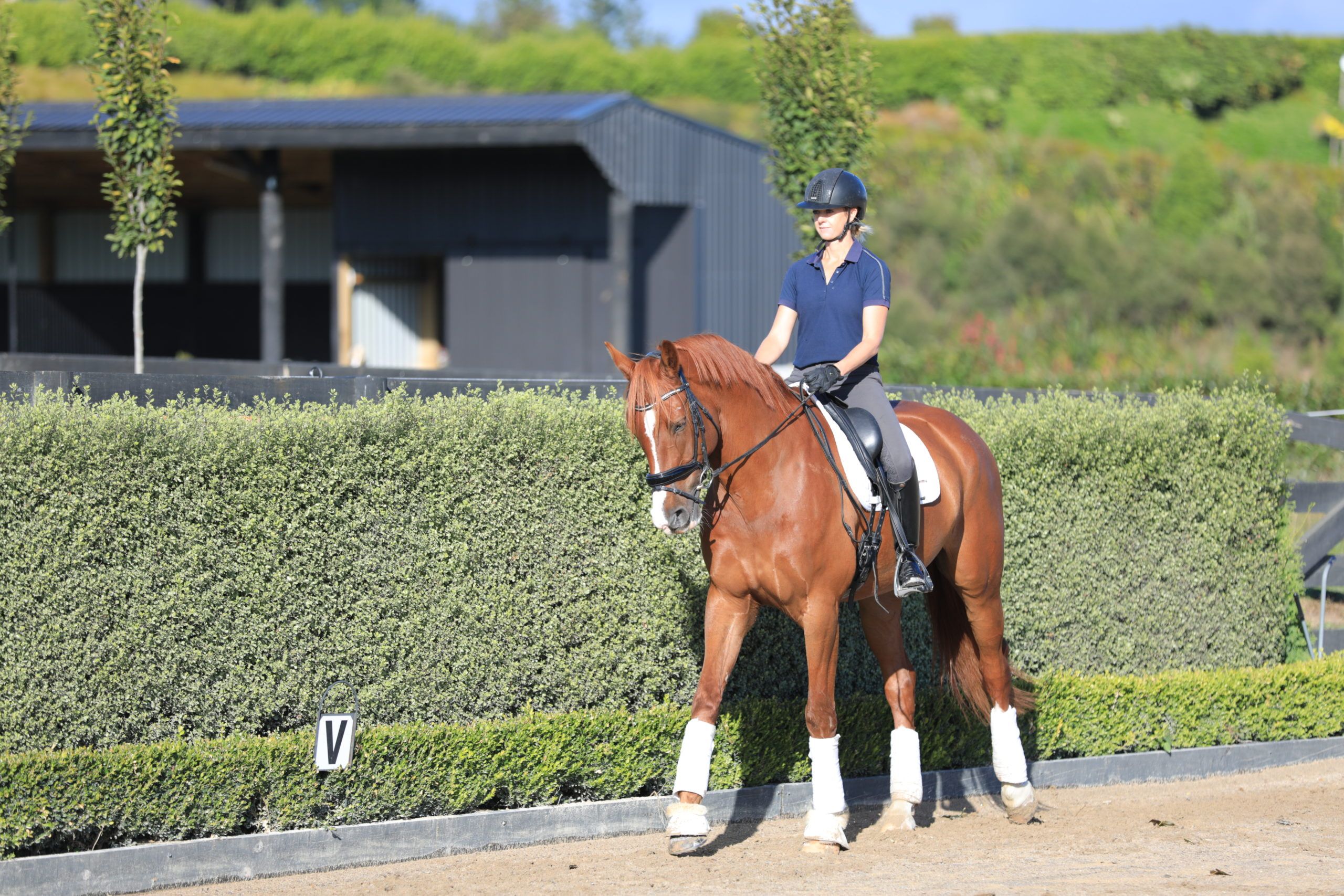 Dressage Position – What Is Alignment And Why Is It Important