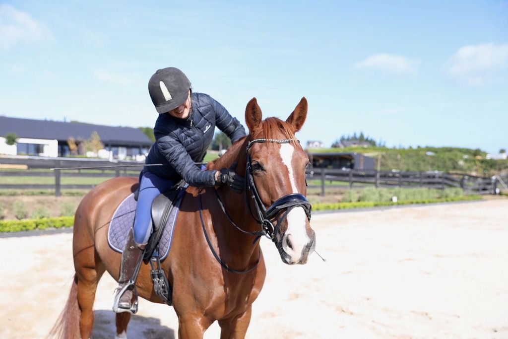 How To Be A Fitter Healthier More Focused Rider