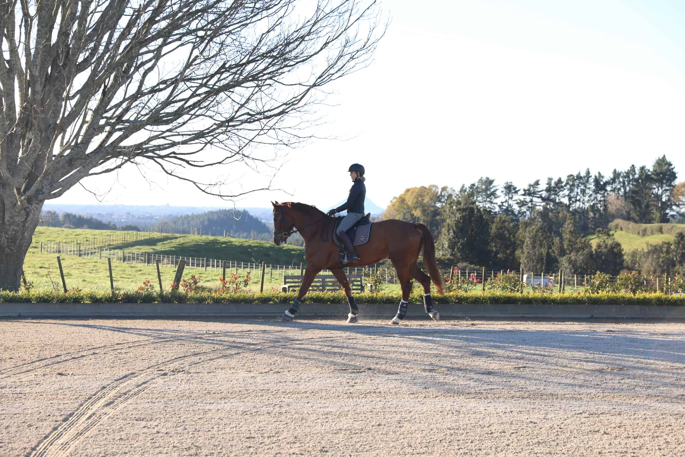 Setting Goals To Help You Develop Into A Better Rider