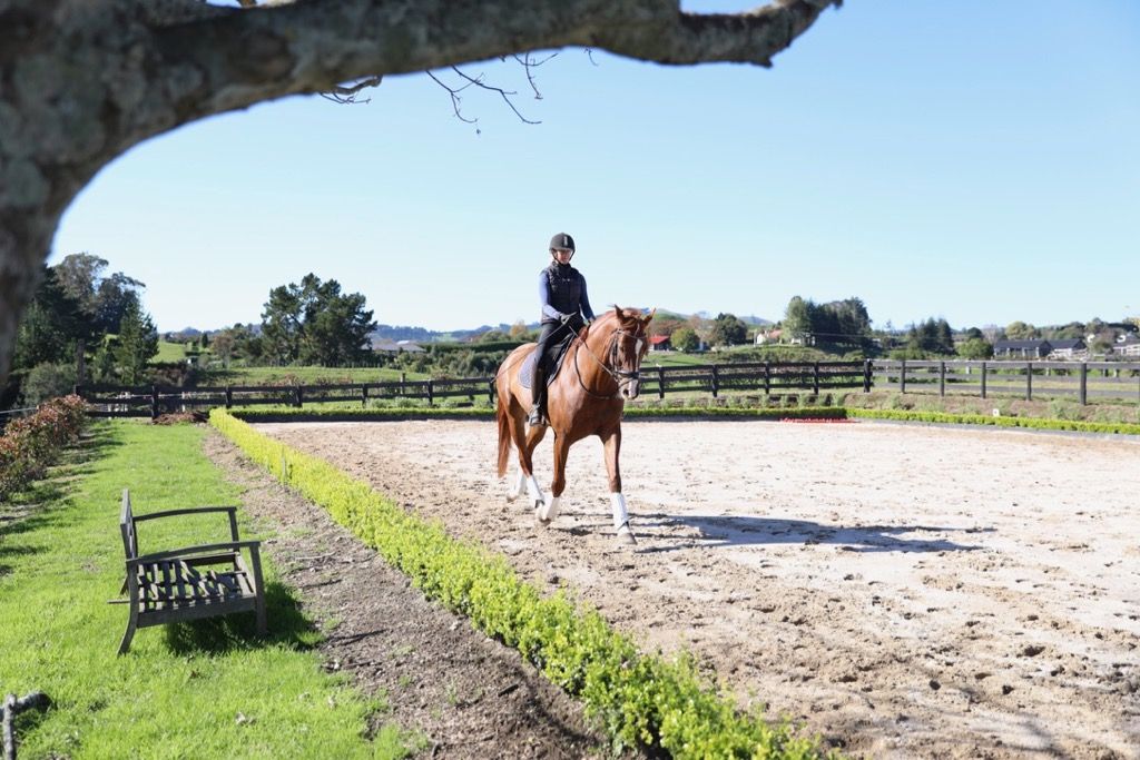 How Our Ribs Play A Role In Dressage Posture