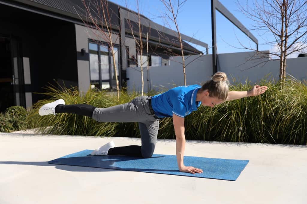 The Corset Of Your Abdominals : Your TVA
