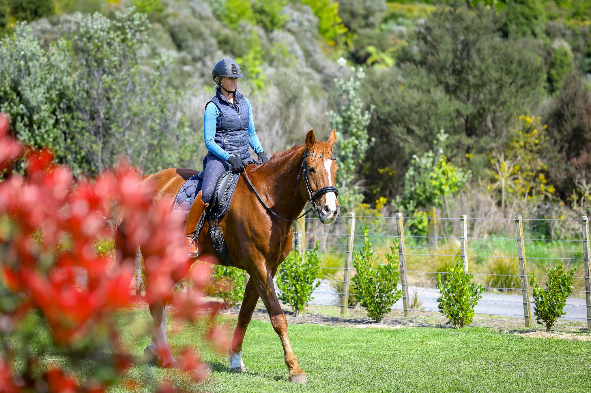 Joint Pain In Dressage Riders