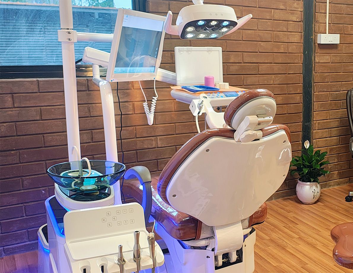 Terra Dental Studio brand image