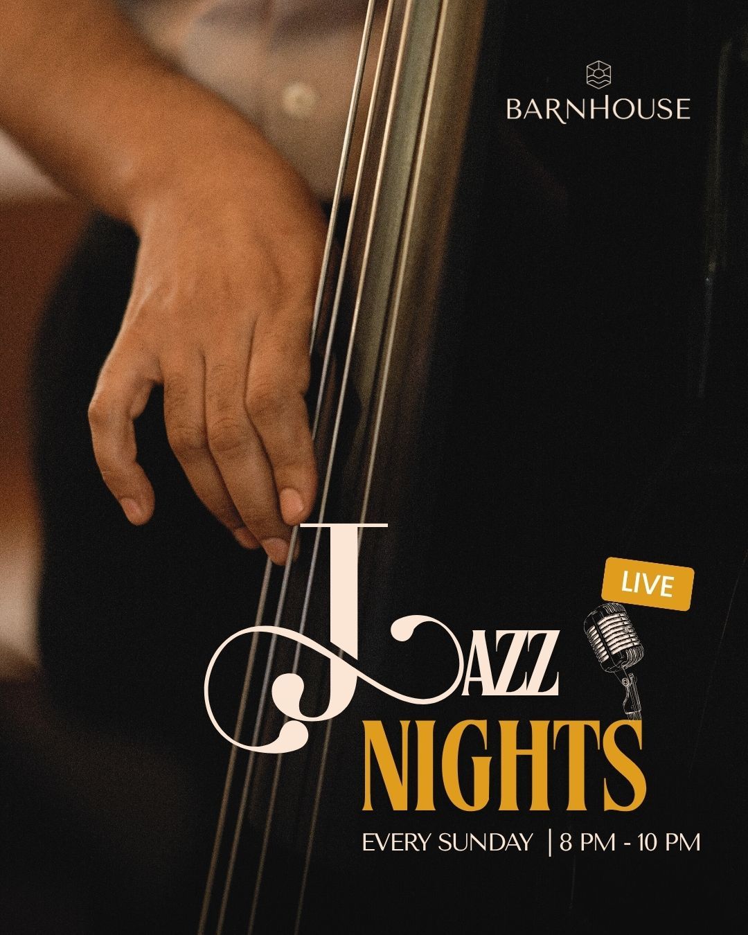 Jazz Nights with Rubina Robinson