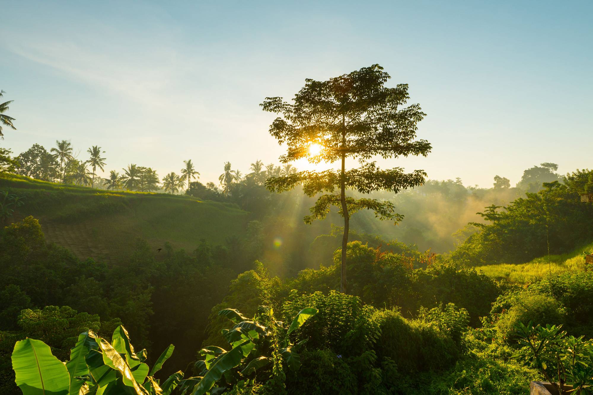 Sustainability in Action: Green Practices at Essensai067