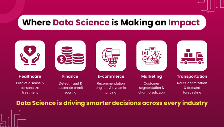  data science the complete 2025 guide career paths tools and real case studies