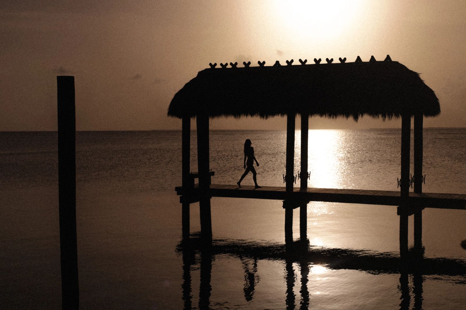 Photography by Gustavo Marmol