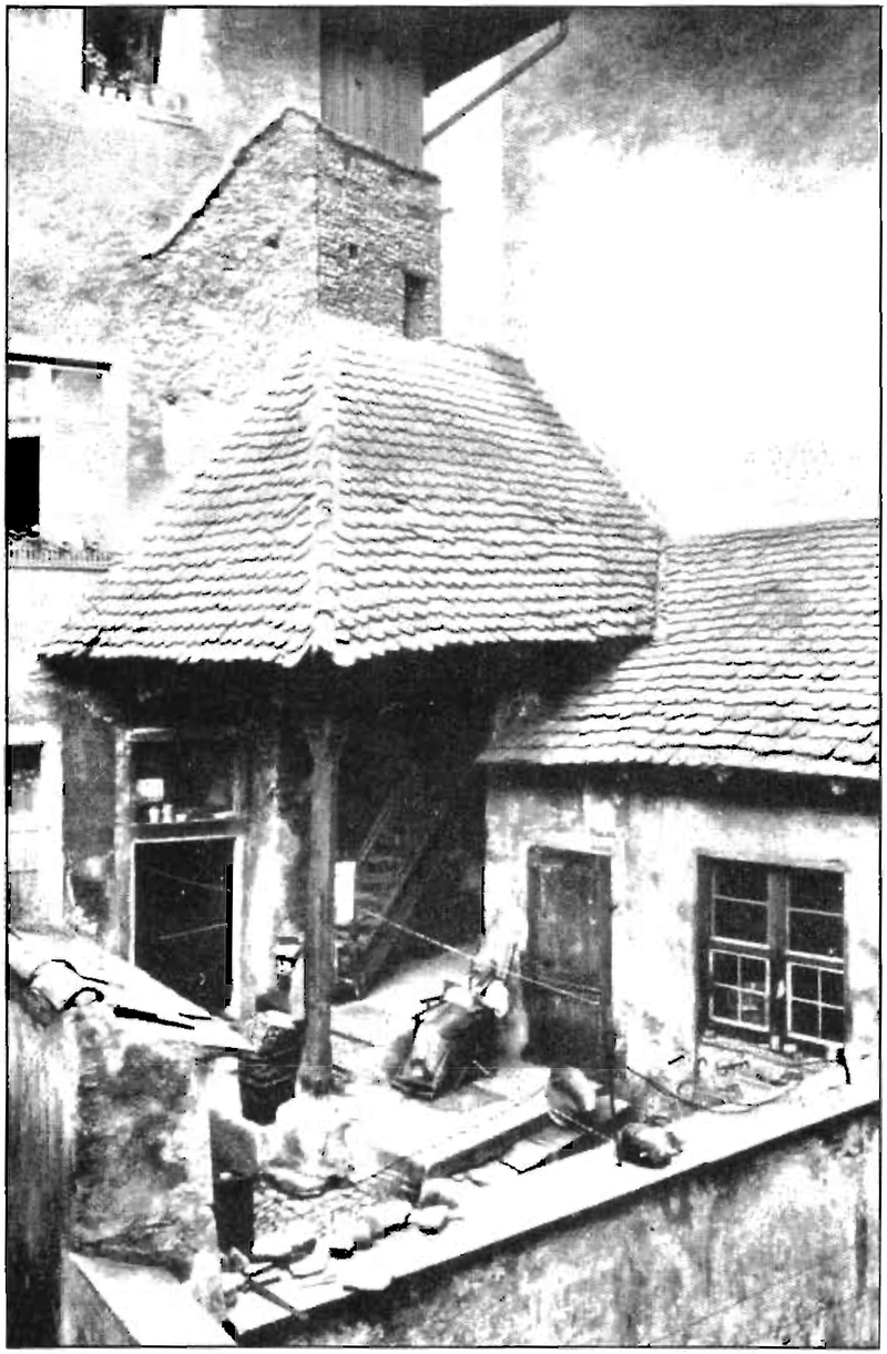 118 Roof Garden A Pattern Language Index 118-roof-garden-a-pattern-language-index