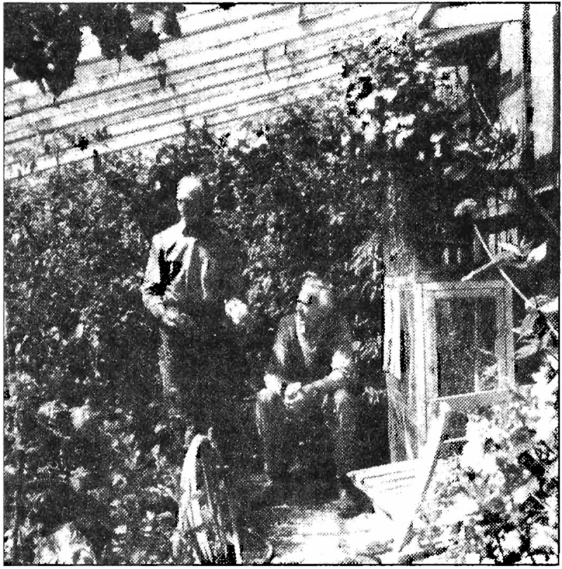 175. Greenhouse | A Pattern Language Index