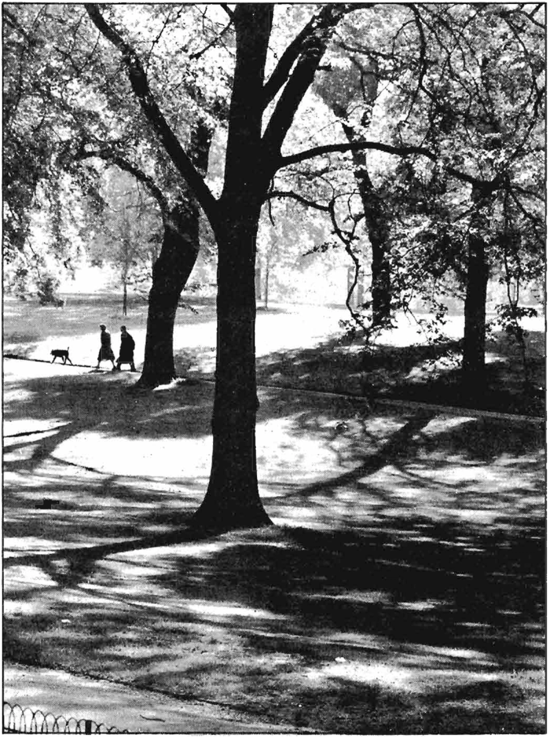 60. Accessible Green | A Pattern Language Index