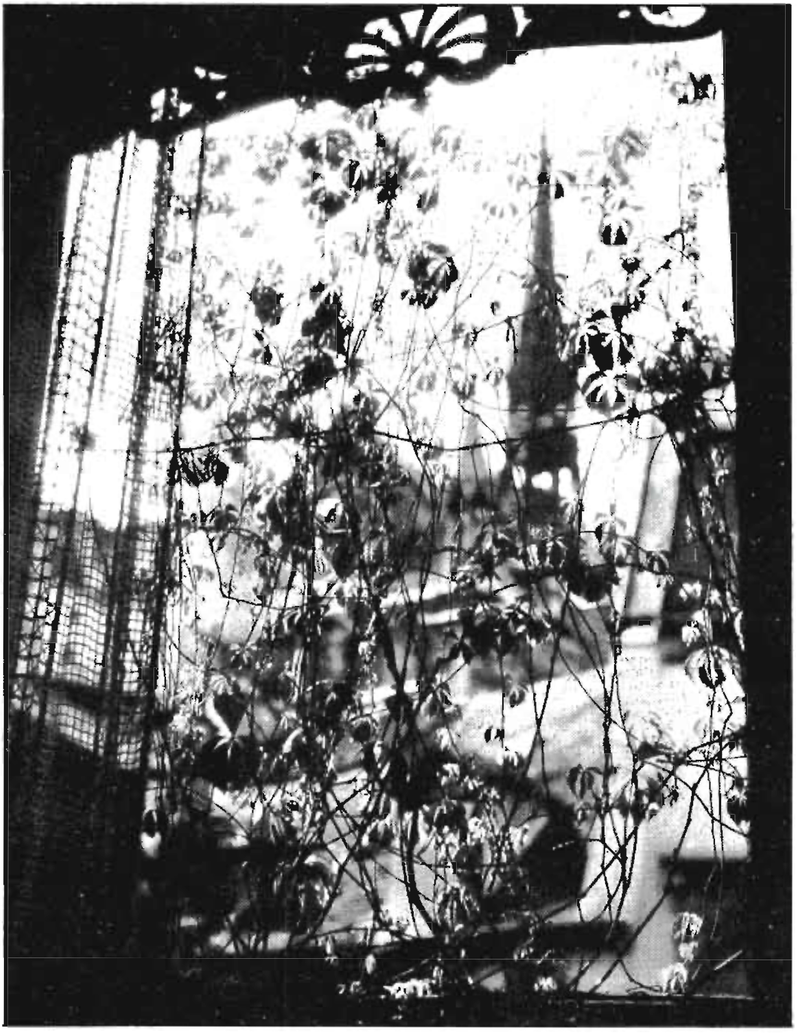 238 Filtered Light A Pattern Language Index