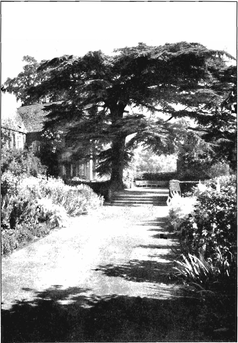 171. Tree Places | A Pattern Language Index