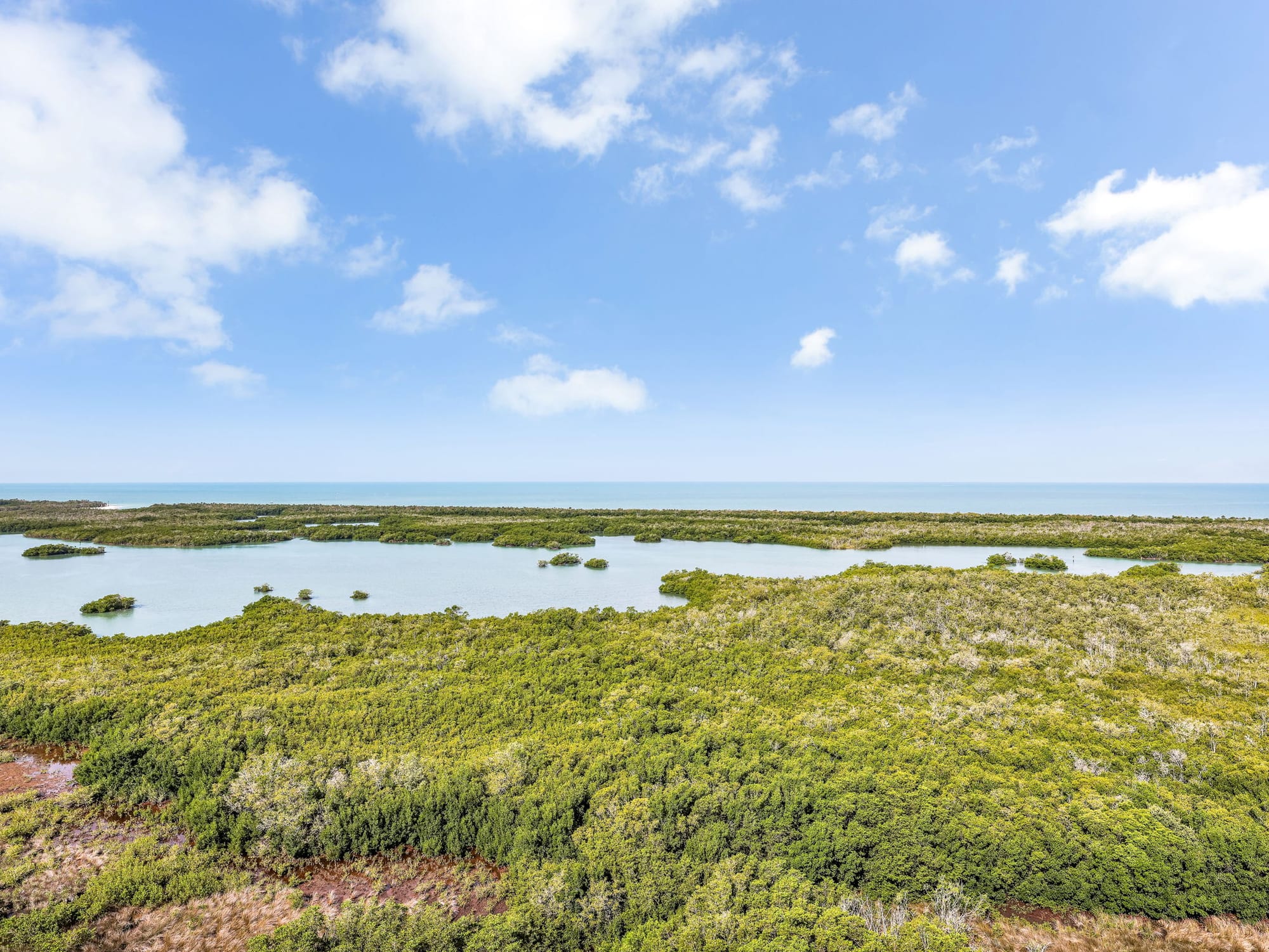 Aerial of the mangrove wetlands and coastline