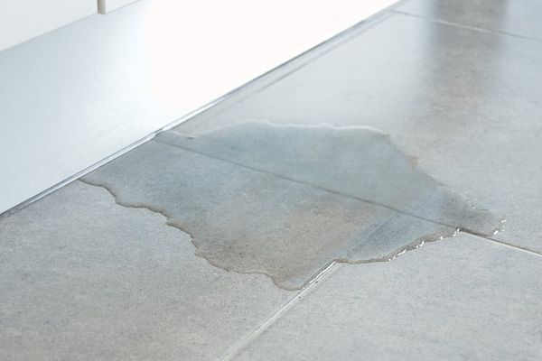 Why Is My Fridge Leaking? 3 Common Causes and Easy Fixes