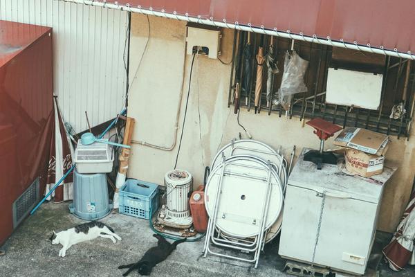 The $500 Mistake: Why Ignoring That "Hum" in Your Mount Prospect Kitchen is Costing You Money