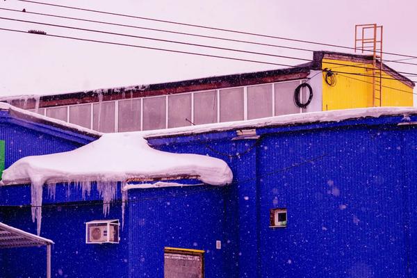 Winter-Proofing Your Refrigerator: Why Your Garage Fridge is Failing in Illinois Winters