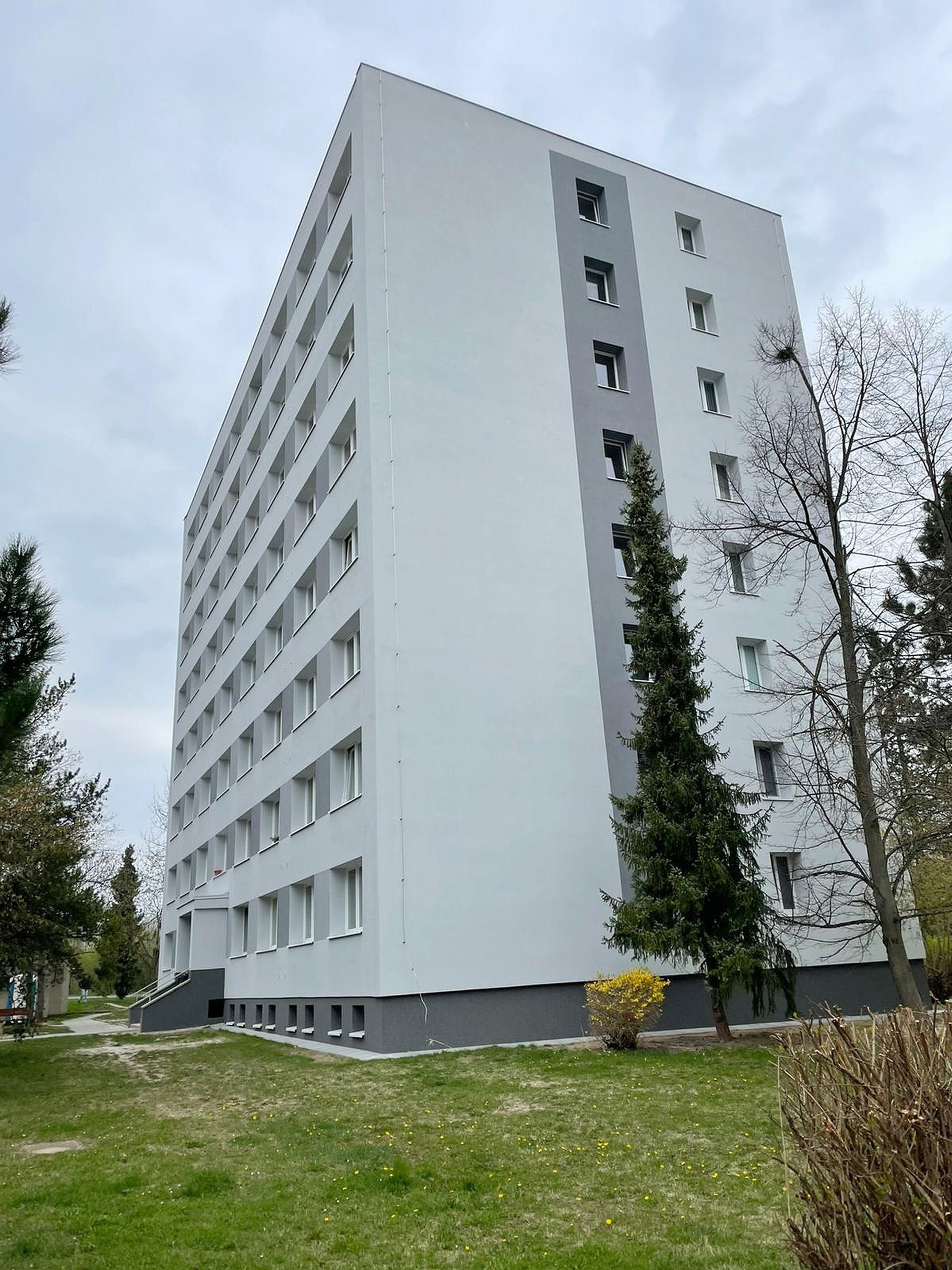 Pronájem zrekonstruovaného bytu 2+1  v Plzni na Borech – foto 11