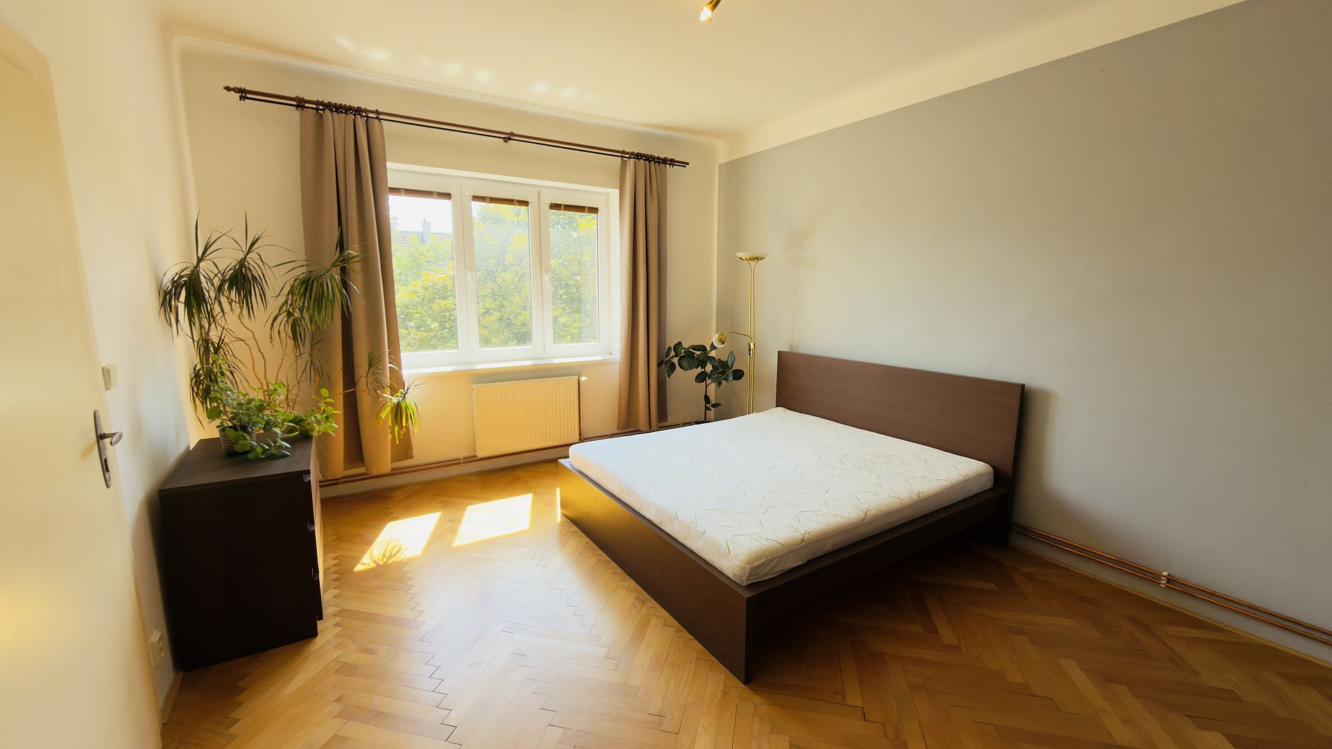 Náhled 3