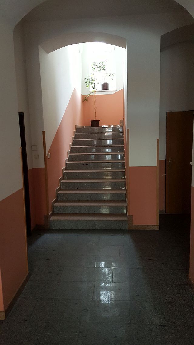 Náhled 6