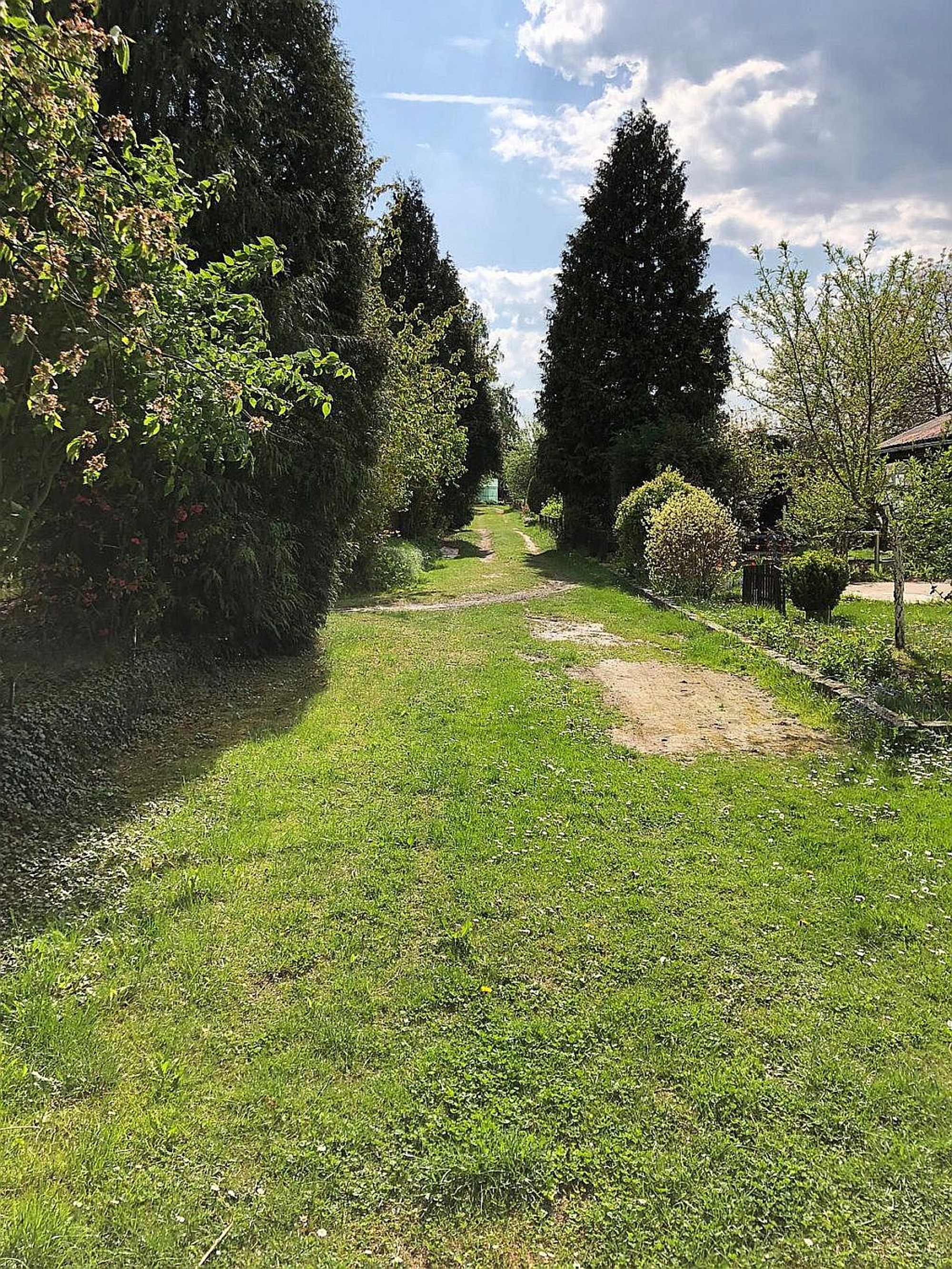Nabízíme k pronájmu chatu s pozemkem v Plzni – foto 4