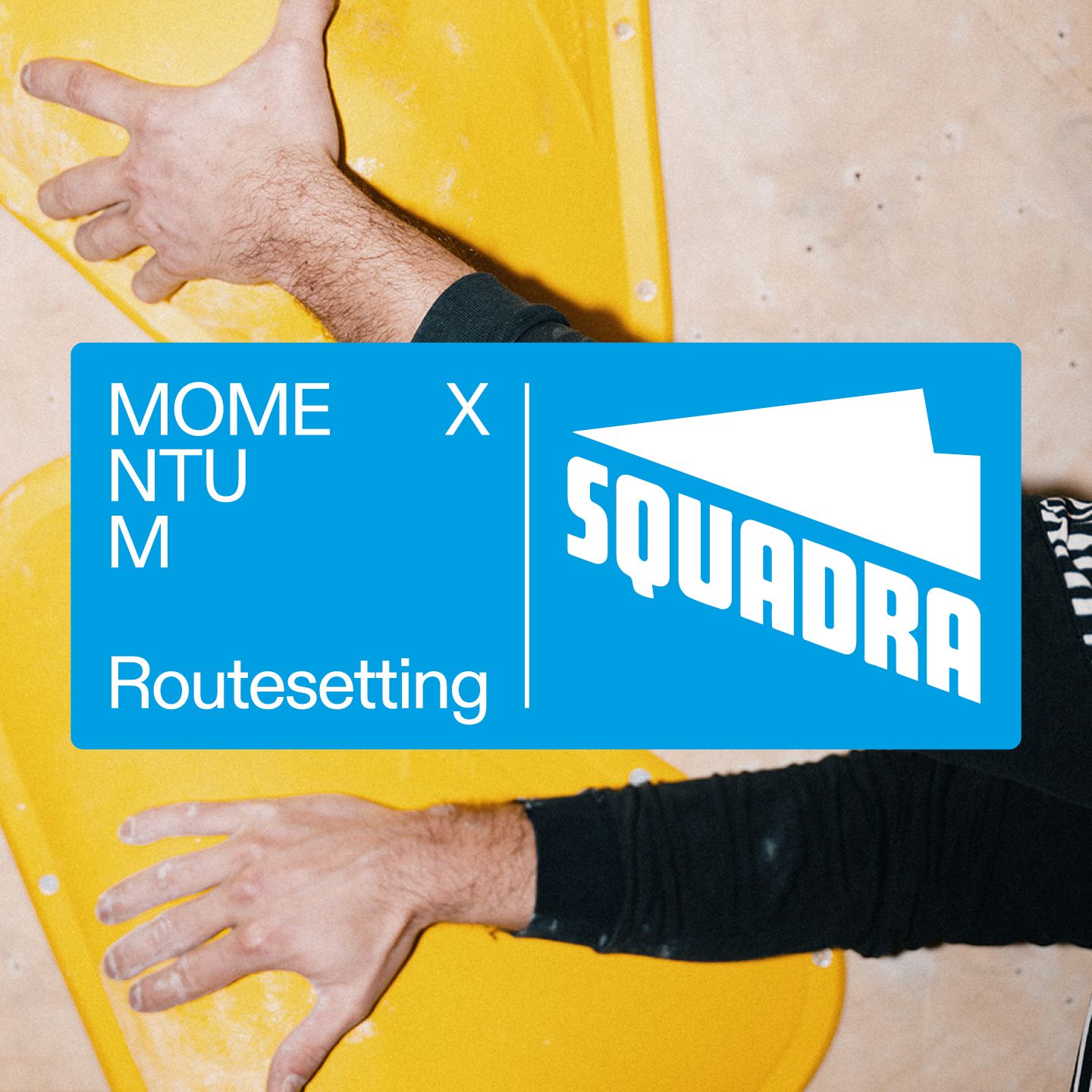A cyan square with the Momentum Routesetting logo together with the Squadra Holds logo overlayed on a photograph of a person touching climbing holds.