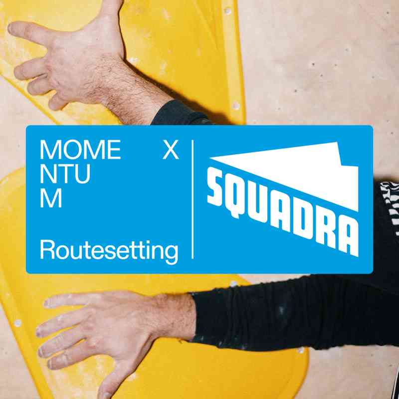 A cyan square with the Momentum Routesetting logo together with the Squadra Holds logo overlayed on a photograph of a person touching climbing holds.