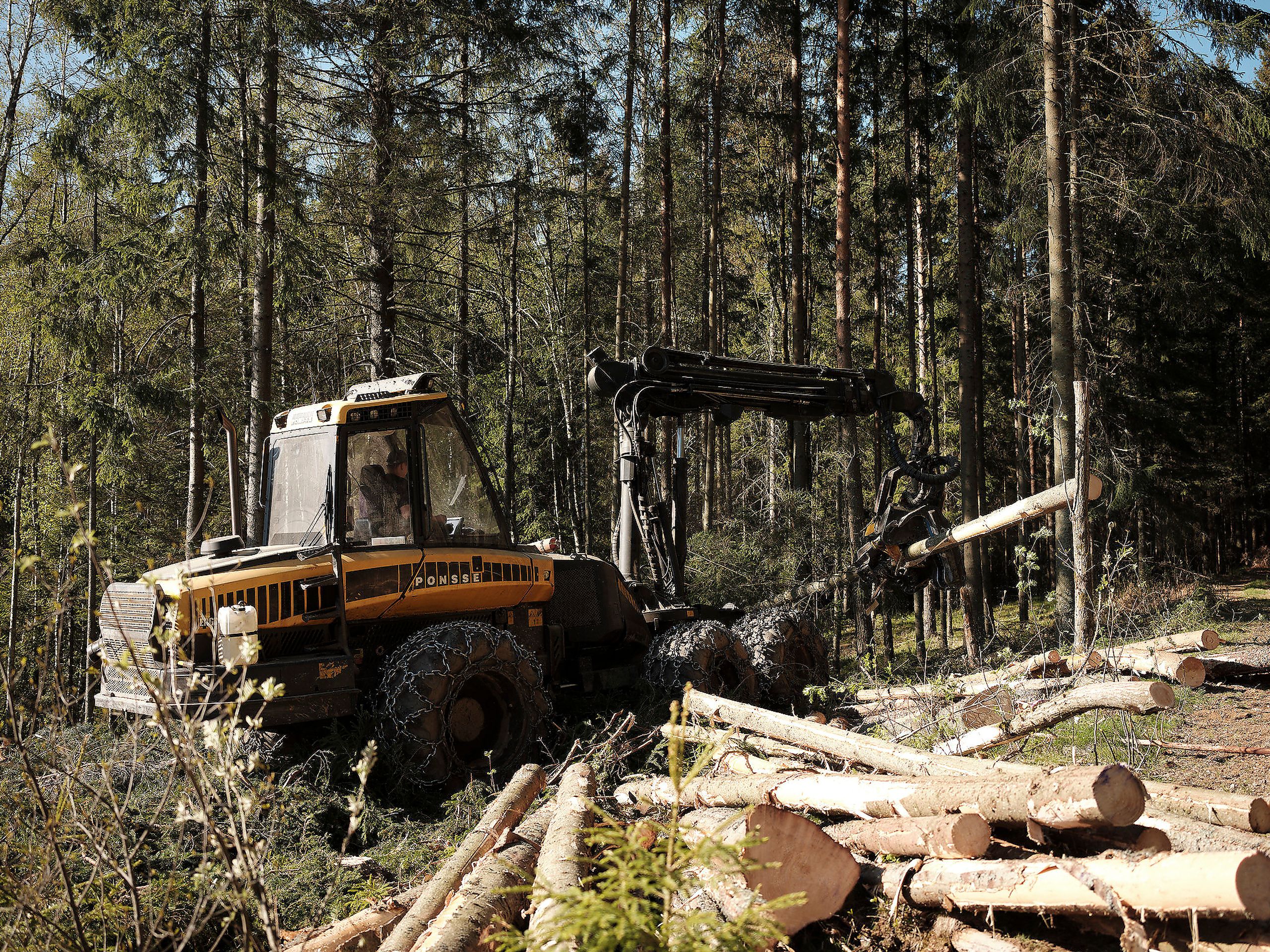 Regjeringen ønsker å legge til rette for at flere av tømmerstokkene videreforedles i Norge.