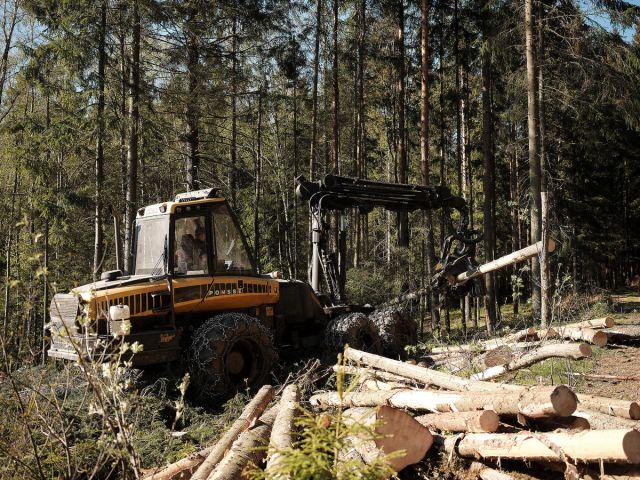 Regjeringen ønsker å legge til rette for at flere av tømmerstokkene videreforedles i Norge.