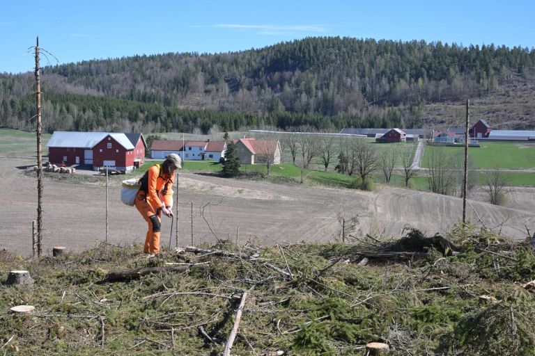 Marie Ødegården fikk nok av den trygge og meningsfulle jobben. Hun ville ut i skogen.