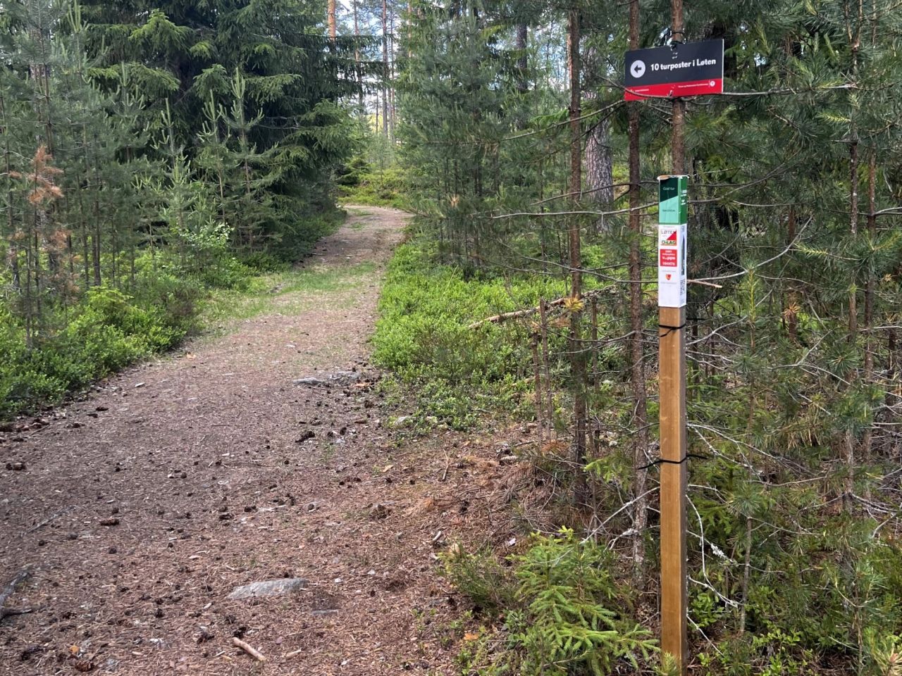 I skogbrukets miljøsertifisering regner man stier som de som er merket og framgår av kartserien N50 (nasjonale kartserien for Norge 1:50 000), har tilsvarende bruk eller framstår tydelig i terrenget. Foto: Ida Aarø