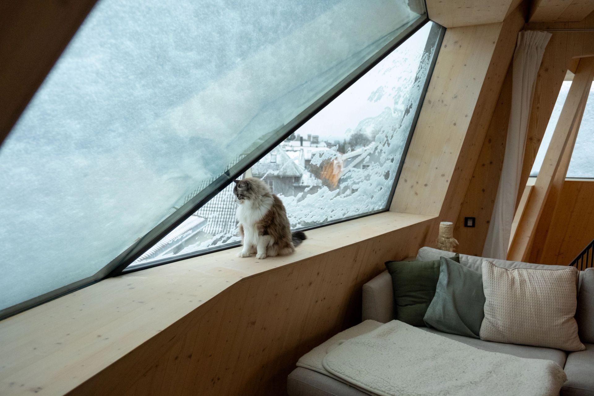 Katt sitter i bred vinduskarm foran et skråstilt vindu med snø utenfor.