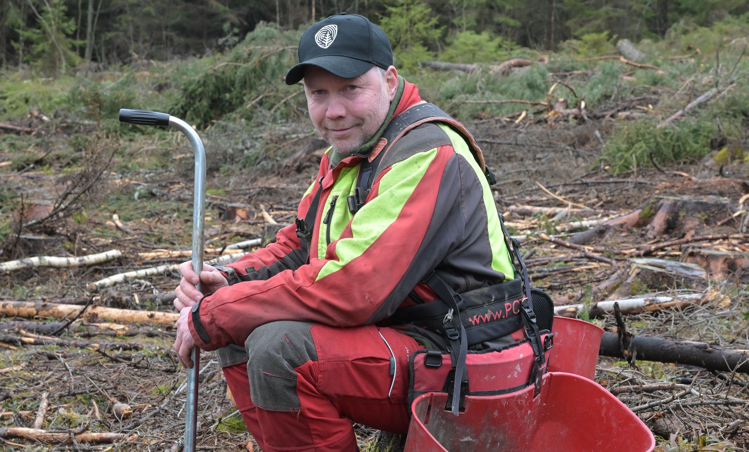 Peder Flesjø er skogeier, skogsarbeider og instruktør i Skogkurs, og han planter tusenvis av planter hvert år.