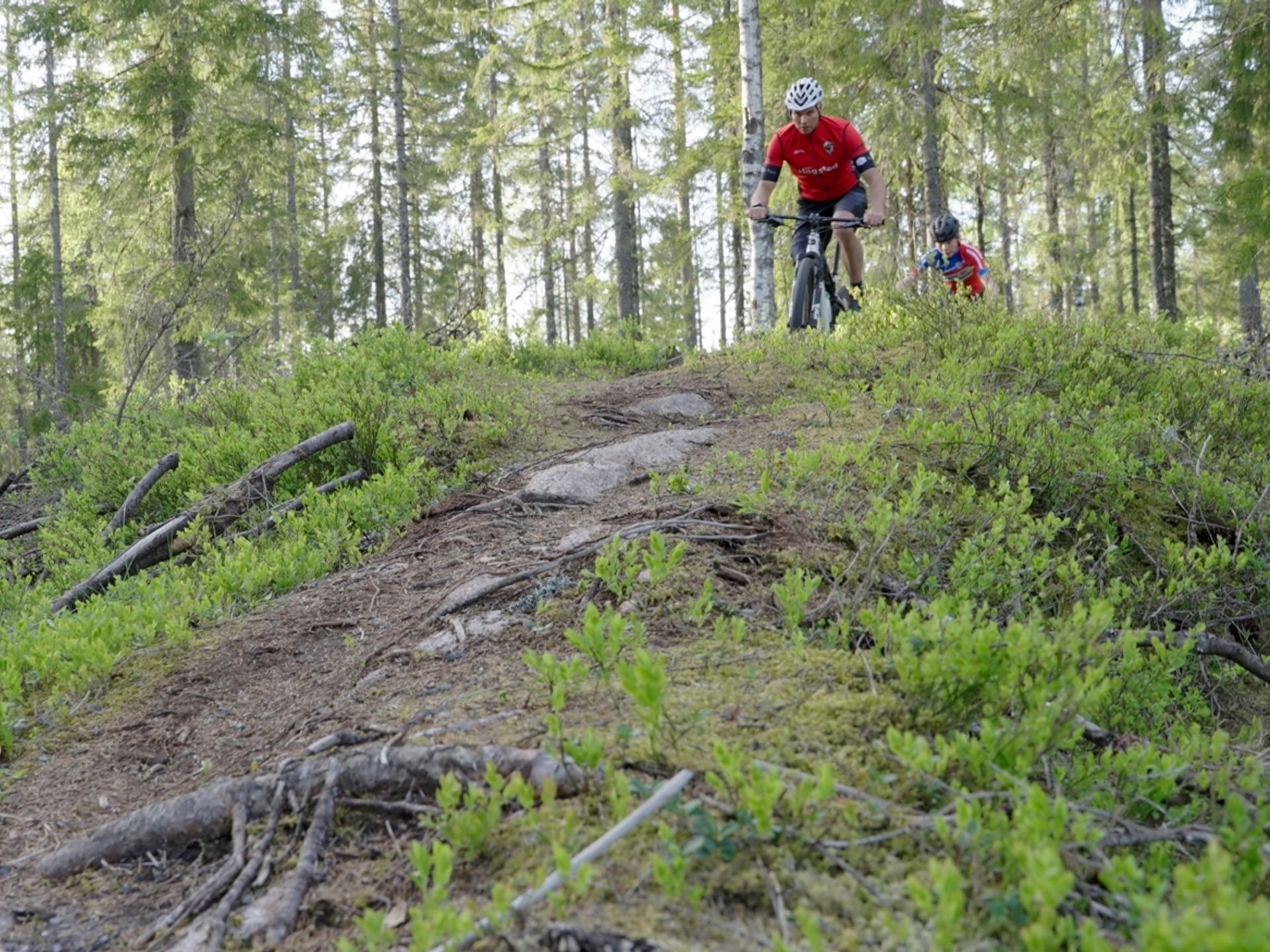 Der det har vært mulig, er stiene lagt over rygger med skrinn mark. Foto: Yngve Ask