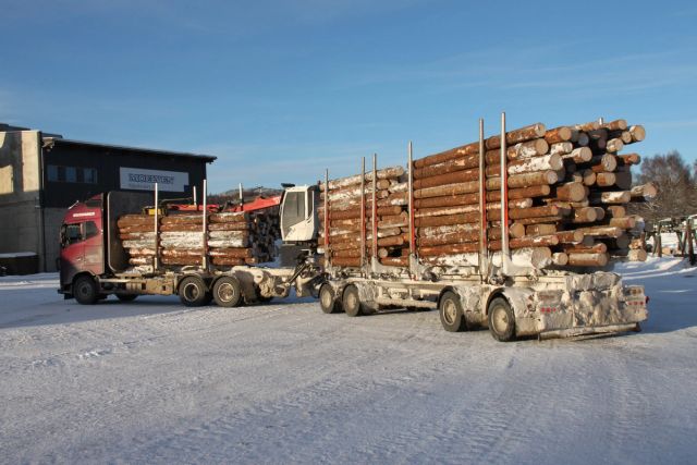 Tømmervogntog med 60 tonn totalvekt