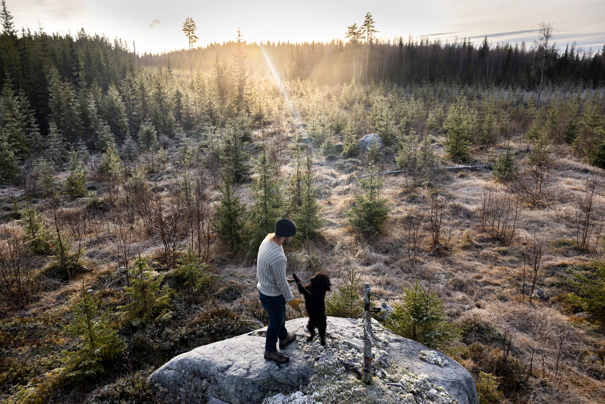 Mann står på en stein sammen med en svart hund og ser utover et skogområde med ungskog i lav vintersol.