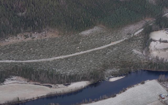 STORE SKADER: De siste månedenes uvær har ødelagt mye skog på uvanlig kort tid. I mange tilfeller mangler eierne forsikring mot stormskader. (Illustrasjonsfoto: Pegasus, Skogbrand )