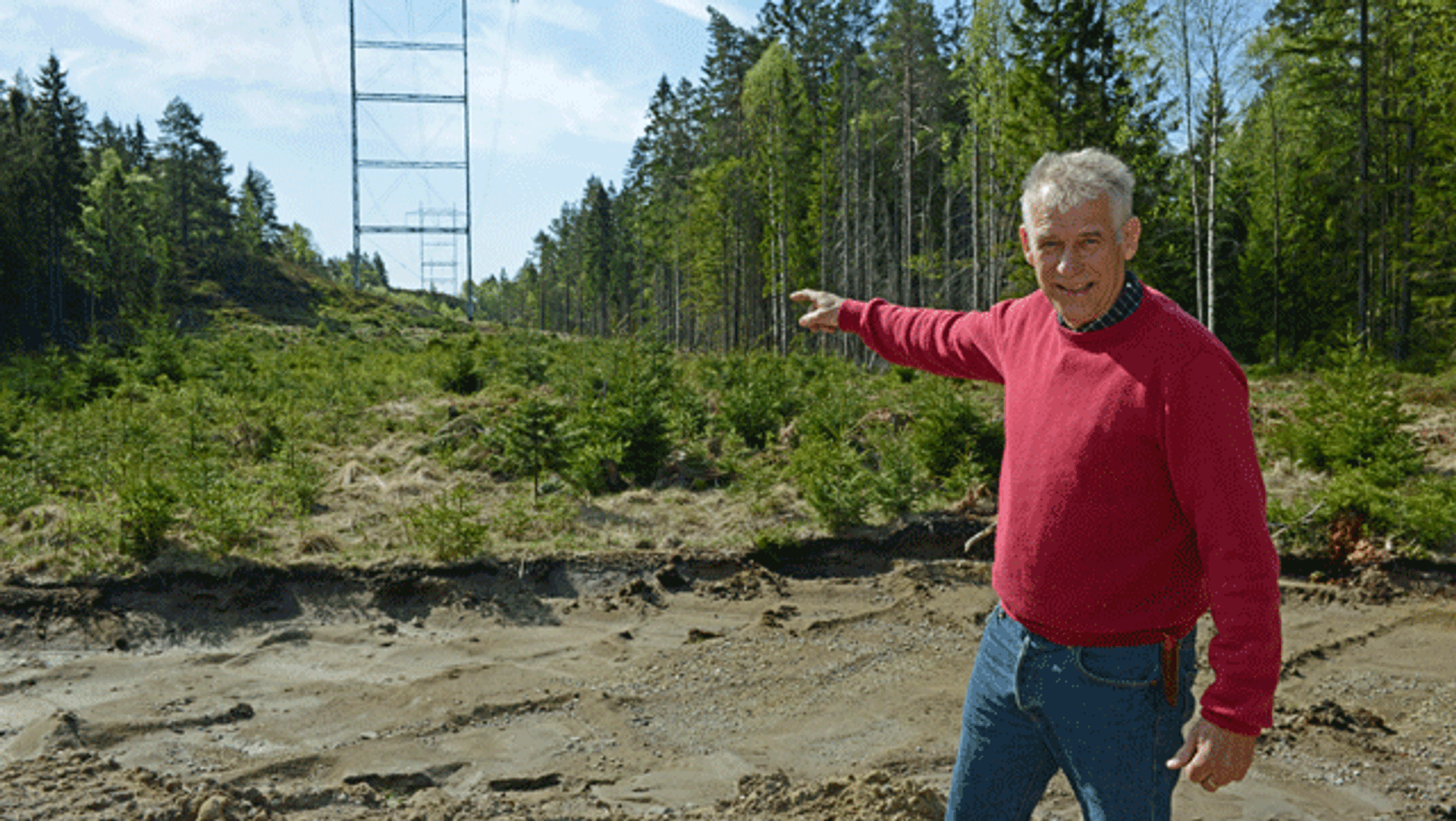 Ola Eltorn i skogen