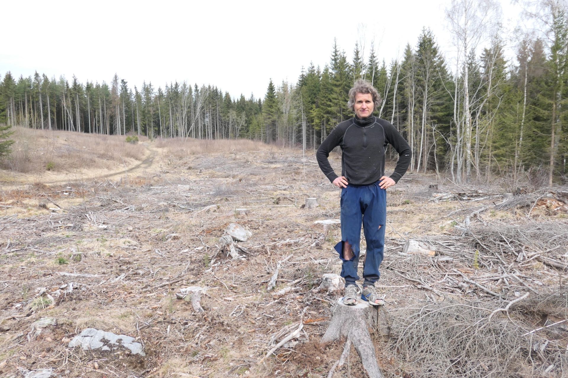 - Når du ligger på dødsleiet, så angrer du trolig mye mer på at du ikke plantet skog enn at du ikke var lenger på kontoret, Thor Gotaas.