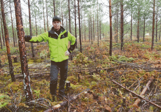 Christian Svenkerud er kultursjef i Glommen Skog. Han skulle gjerne sett at norske skogeiere var mer aktive til å drive ungskogpleie, et av de mest lønnsomme tiltakene i skogen. Her har han tatt med Magasinet Skog ut til et tynnet furufelt i Elverum kommune.