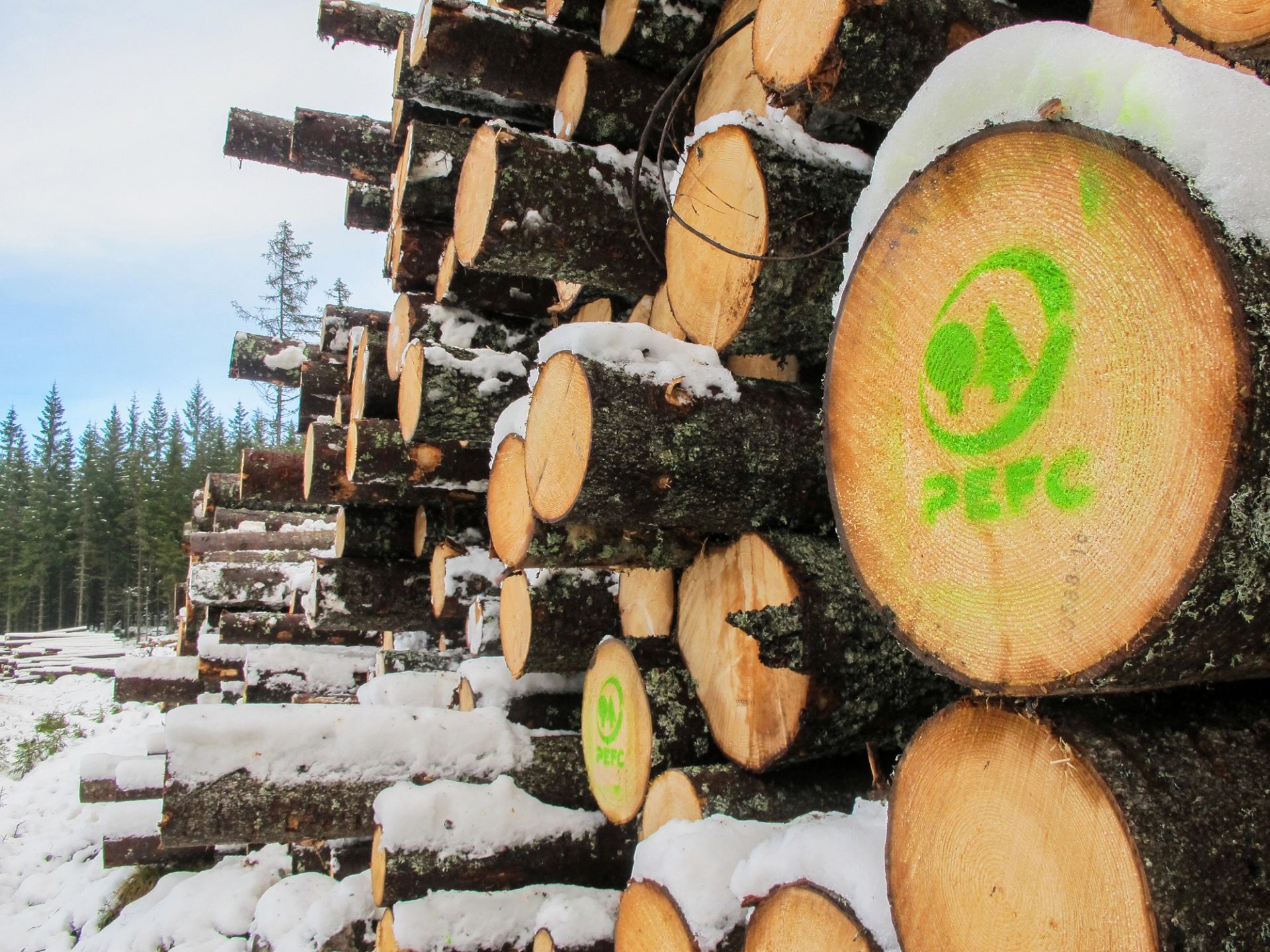 Den grønne PEFC-logoen betyr at tømmeret kommer fra skog som er drevet på en bærekraftig måte. Foto: Hanne Røn Arntsen