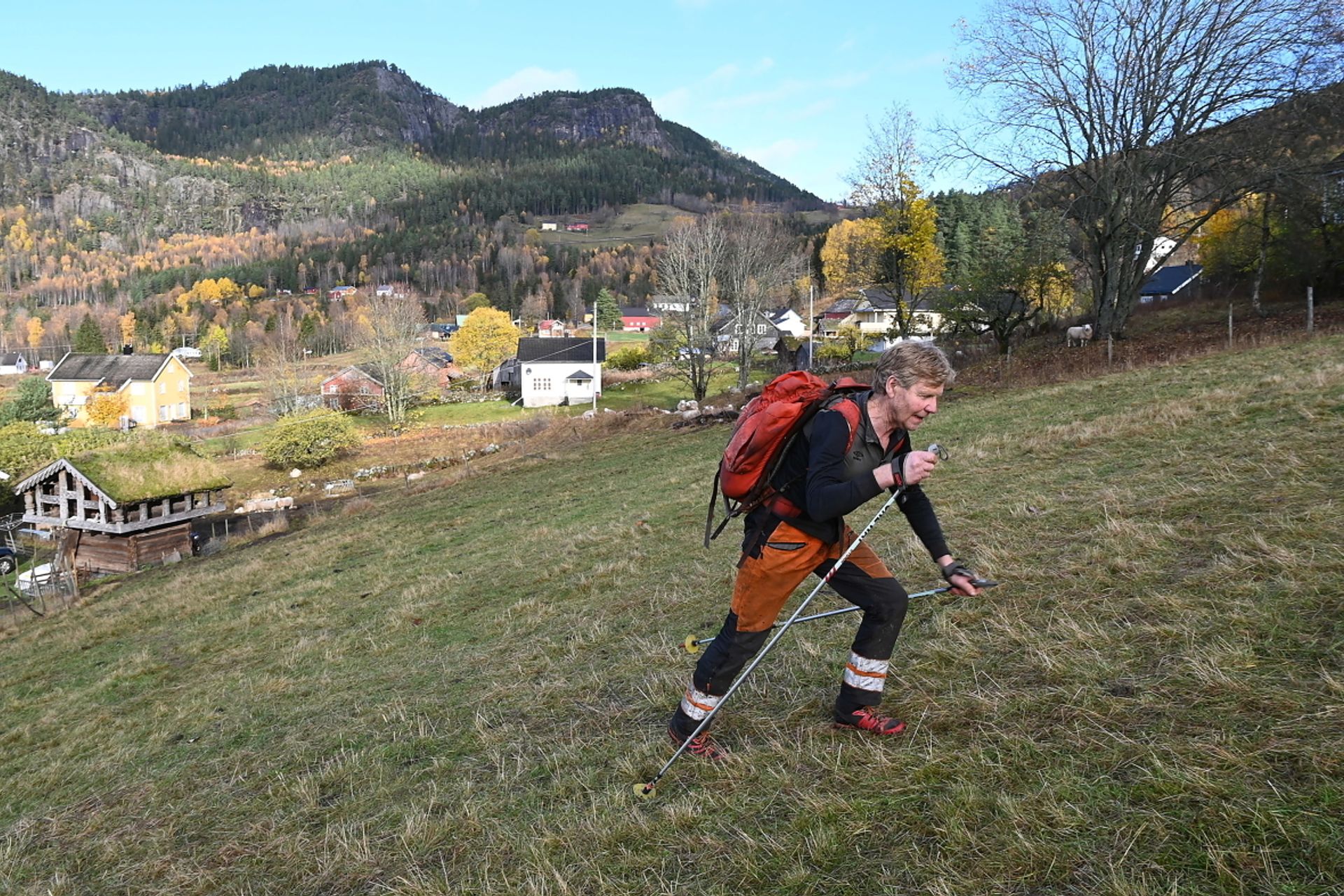 Etter endt arbeidsdag i skogen bærer det ut på trening oppover de bratte jordene med 50 kilo sand i sekken. Puuuh...
