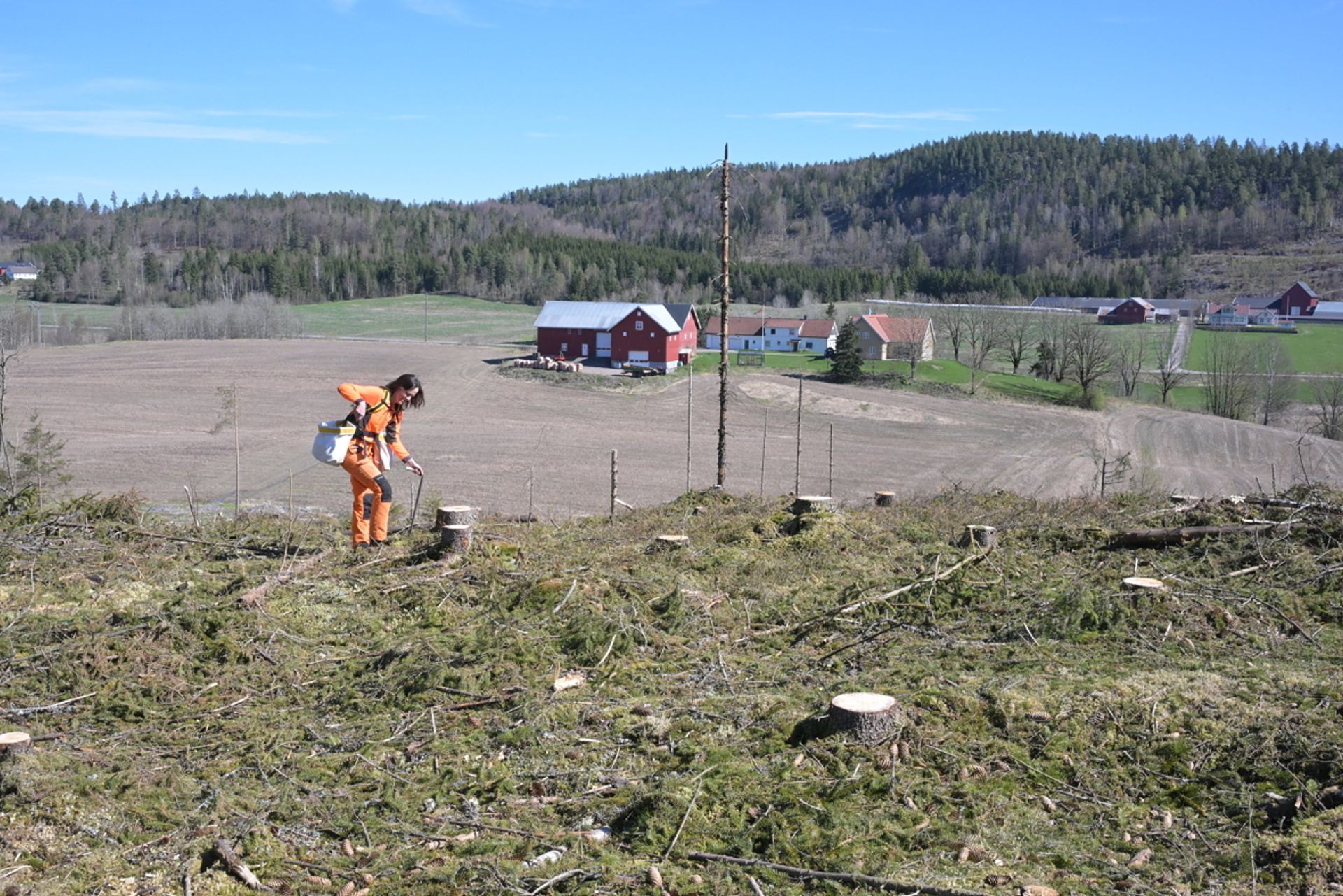 Jammen er planting også trivelig arbeid.