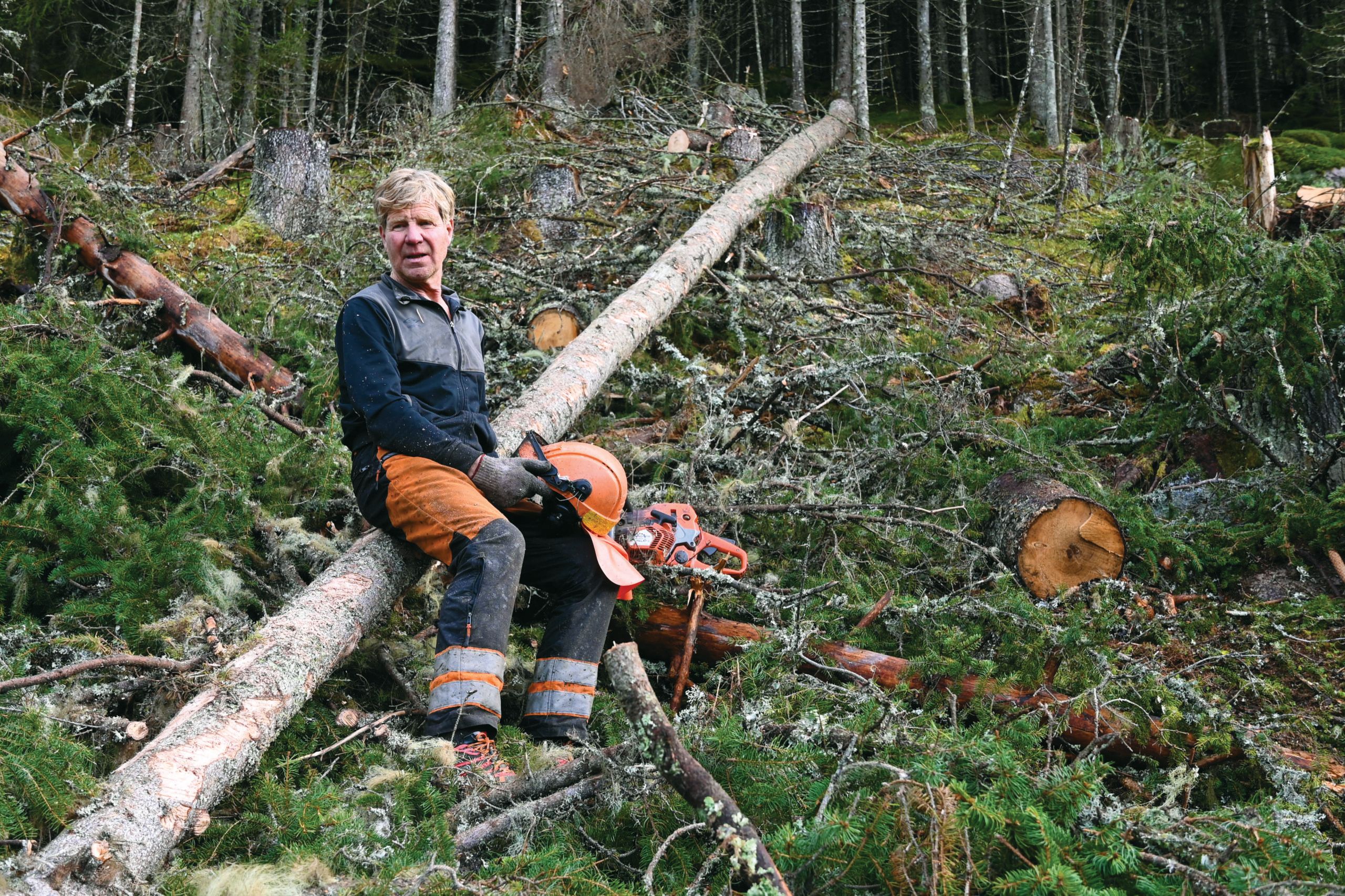 – Jeg tar fri på søndagene, for etter en uke med opptil ti timers arbeid om dagen med motorsaga, er det godt å få litt fri til å gå en fjelltur eller ta bien for å besøke andre steder.